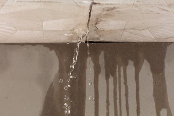 Professional Structural Drying technician working in Holden, WV